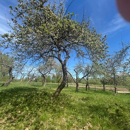 Swietokrzyski Klimacik Bodzentyn Exteriör bild
