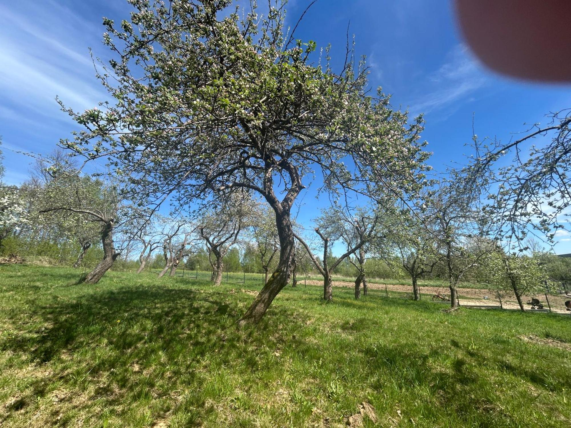Swietokrzyski Klimacik Bodzentyn Exteriör bild